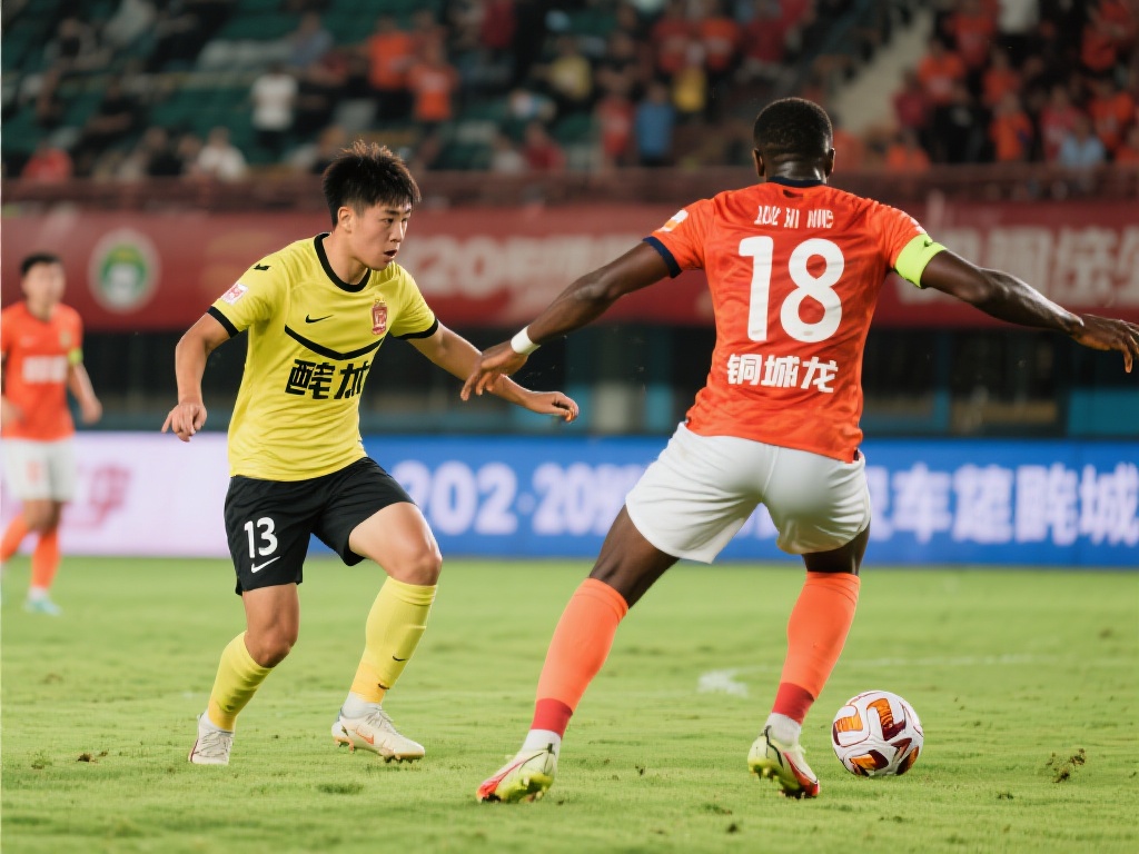 确认您的投 确认您的投